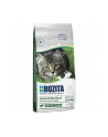 Bozita - Active ' Sterilised Grain free Lamb 2 kg - nr 1