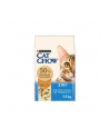 purina nestle PURINA CAT CHOW FELINE 3IN1 Indyk 15kg - nr 4