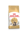 Royal Canin MAINECOON 4 kg - nr 1