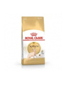 ROYAL CANIN Sphynx Adult 2kg - nr 3