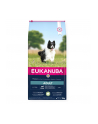 EUKANUBA  Small'Medium lamb rice 12kg - nr 2