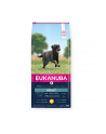 EUKANUBA Adult Large Breed Chicken 15kg - nr 1