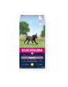 EUKANUBA Growing Puppy Large Breed 15kg - nr 1