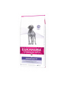 EUKANUBA Dermatosis  Formula 12kg - nr 1