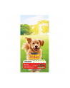 purina nestle FRISKIES Active 10kg - nr 1