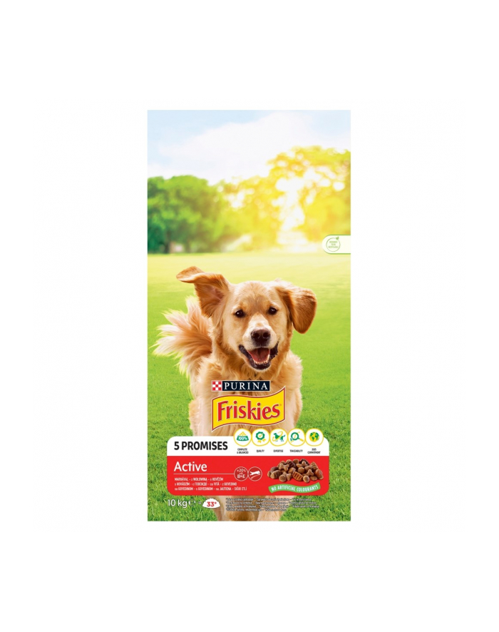 purina nestle FRISKIES Active 10kg główny