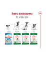 royal canin SHN Mini Adult +8 2 kg - nr 5