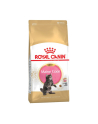 Karma Royal Canin FBN Kitten Maine Coon 36 2 kg - nr 1