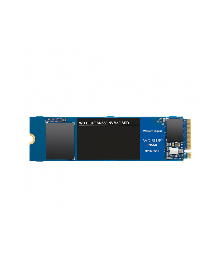 SSD WD Blue 250GB NVMe WDS250G2B0C główny