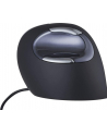 Evoluent VerticalMouse D, mouse (black / silver, large, RH) - nr 18