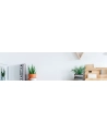 aoc Monitor 24B2XDM 23.8 VA DVI - nr 29