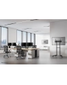 newstar Uchwyt ścienny do monitora FPMA-W300 czarny - nr 33