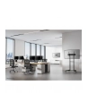 newstar Uchwyt ścienny do monitora FPMA-W300 czarny - nr 52