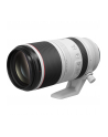 canon Obiektyw RF 100-500MM F4.5-7.1 L IS USM 4112C005 - nr 19