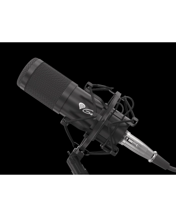 Genesis Radium 300 (NGM1695)