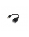 Lenovo mini DisplayPort/DisplayPort (4X90L13971) - nr 3
