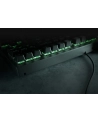 Razer BlackWidow V3 Tenkeyless - Green Switch (RZ0303490100R3M1) - nr 25