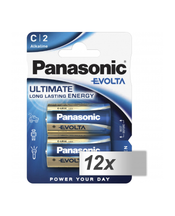 Panasonic Evolta C (LR14EGE/2BP)