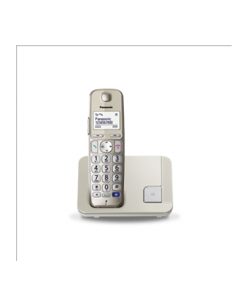 Panasonic KX-TGE210FXN