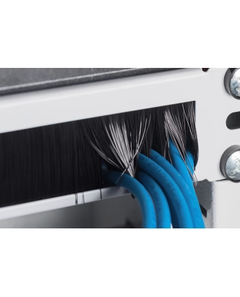 ASSMANN PROFESSIONAL (DN97660)