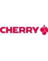 Cherry KC 6000 slim srebrna (JK- 1600DE- 1) / wersja QWERTZ - niemiecki układ - nr 15