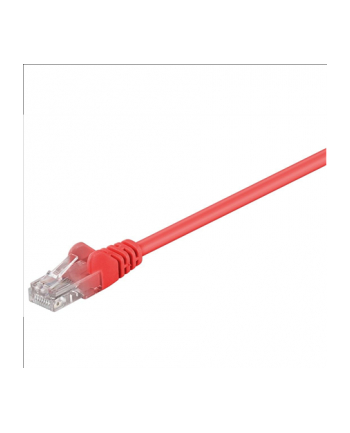 Wentronic CAT 5-050 UTP Red 0.50m (68339) nr 1