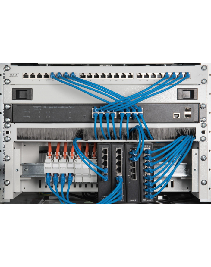 ASSMANN  PROFESSIONAL (DN97660) główny