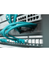 ASSMANN  PROFESSIONAL (DN97661) - nr 25