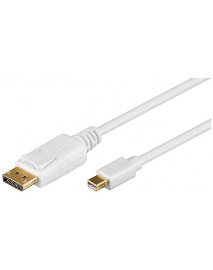 Wentronic 1m DisplayPort Cable (52858) główny