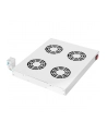 Digitus Cooling Unit for 19'' Installation (DN-19 FAN-4-HO) - nr 11