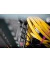 Digitus 19'' Outlet Strip (DN-95403) - nr 2