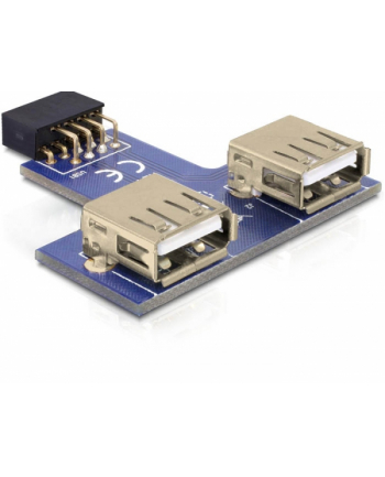 DeLOCK 9-pin 2.54 mm/2 x USB 2.0 (41824)