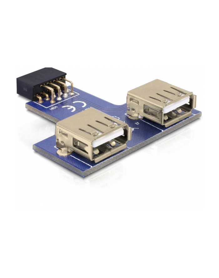 DeLOCK 9-pin 2.54 mm/2 x USB 2.0 (41824) główny