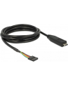 Delock Konverter USB/C 2.0 St > LVTTL 3.3V 6Pin 2.0m - nr 10