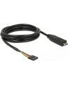 Delock Konverter USB/C 2.0 St > LVTTL 3.3V 6Pin 2.0m - nr 6