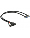 Delock Kabel USB3.0 19pin+9pin - 2x USB 3.0 A 0.45m 83829 (83829) - nr 1