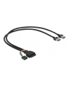 Delock Kabel USB3.0 19pin+9pin - 2x USB 3.0 A 0.45m 83829 (83829) - nr 4
