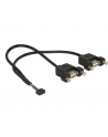 Delock Kabel USB 10 pin - 2x USB, do zabudowy panelowej, 25 cm (84832) - nr 10
