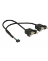 Delock Kabel USB 10 pin - 2x USB, do zabudowy panelowej, 25 cm (84832) - nr 1