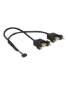 Delock Kabel USB 10 pin - 2x USB, do zabudowy panelowej, 25 cm (84832) - nr 3
