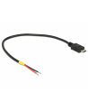 Delock Kabel USB Mikro-B St -- 2x offene Kabelenden Strom 0.2m (85541) - nr 1