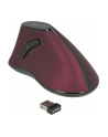 Delock 12528 - nr 19