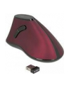 Delock 12528 - nr 20