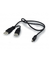Conceptronic USB MINI HARDDISK 2.5IN BLACK (13000161) - nr 7