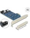 Delock 2x M.2 NGFF (89374) - nr 25
