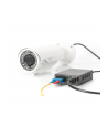 DIGITUS  PROFESSIONAL (DN82160) - nr 34