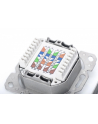 DIGITUS  (DN90071) - nr 36