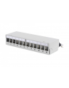 DIGITUS  PROFESSIONAL (DN93706) - nr 19