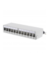 DIGITUS  PROFESSIONAL (DN93706) - nr 26