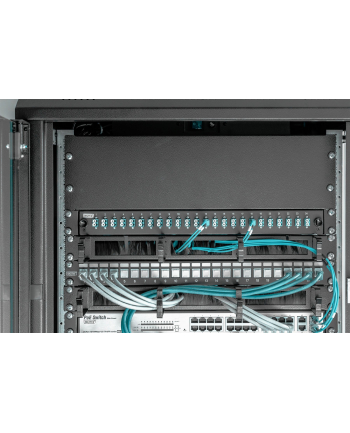 Digitus DN-19-BPN-03-SW nr 1